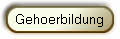 Gehoerbildung
